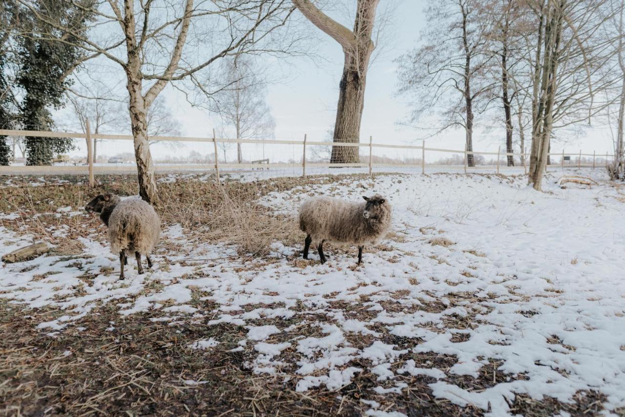 Our Farm Ferienwohnung Grasberg Dış mekan fotoğraf