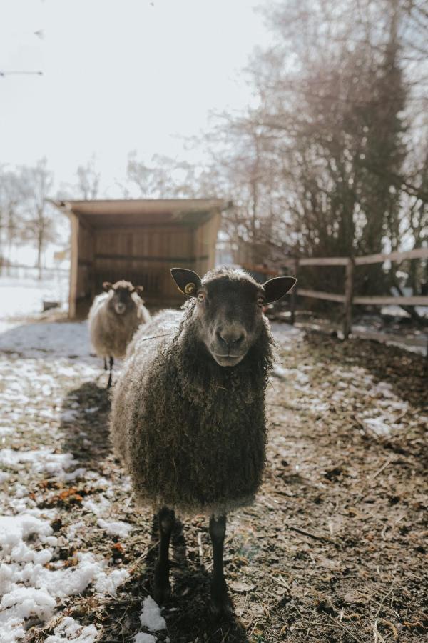 Our Farm Ferienwohnung Grasberg Dış mekan fotoğraf